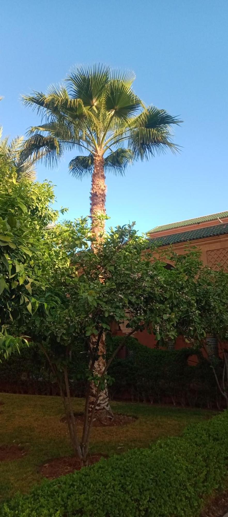 Riad Al-Bushra Marrakesh Exterior photo
